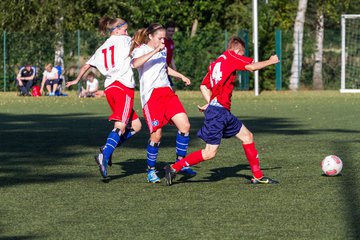 Bild 281 - Frauen HSV - cJun Eintracht Norderstedt : Ergebnis: 1:16
